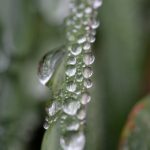 乐博背后的团队:如何打造出色的音乐体验 2nglfwbf