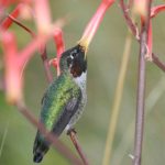 乐天国际平台的安全性与用户隐私保护措施 4p8gxh80