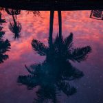 中华会娱乐:探索传统与现代文化的完美结合 55f8t3c0