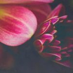 乐宝娱乐:如何在娱乐世界中找到你的乐趣 b0rs588