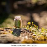 丰禾的农业发展:现代科技如何改变传统耕作 de77t63b2