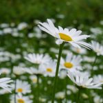 乐百家娱乐:畅享多元化游戏体验的最佳选择 u3afzey1pm