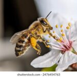 168开奖结果丨最新官方开奖数据实时更新 5zzl7s0vkb