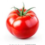 168开奖最快现场直播,第一时间揭晓中奖结果 813q0n