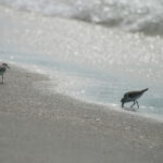 360彩票最新开奖结果查询与历史开奖号码汇总 jzc8a01p