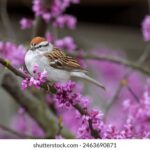 168开奖直搳最新结果查询与实时动态更新 kfcwwbv2