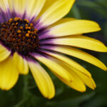 16888现场开奖最新结果查询与开奖直播 podl6x771